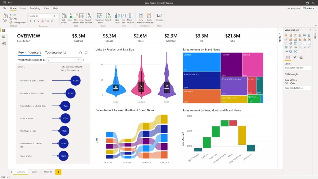 Data Visualization | Microsoft Power BI